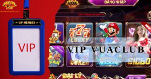 Đặc quyền thành viên VIP Vuaclub